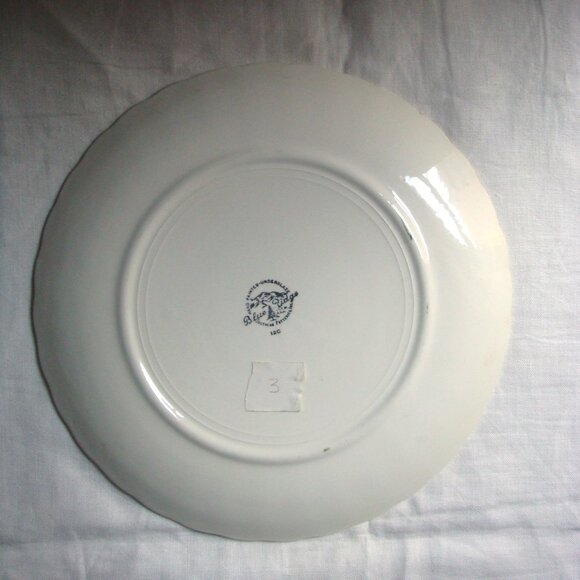 2 BLUE RIDGE Southern Pottery Bountiful Dinner Plates - Picture 4 of 10